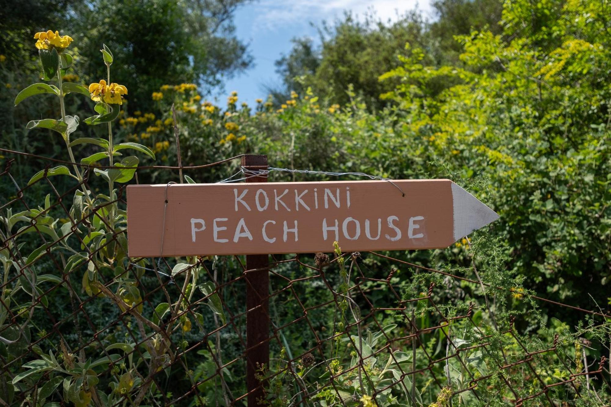 Kokkini Peach House Apartment Kokkinion Bagian luar foto
